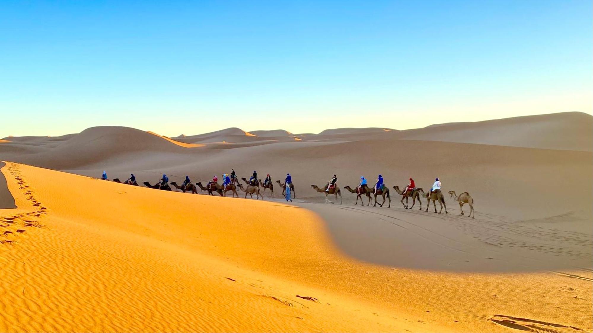 Atta Desert Camp El Gouera Kültér fotó