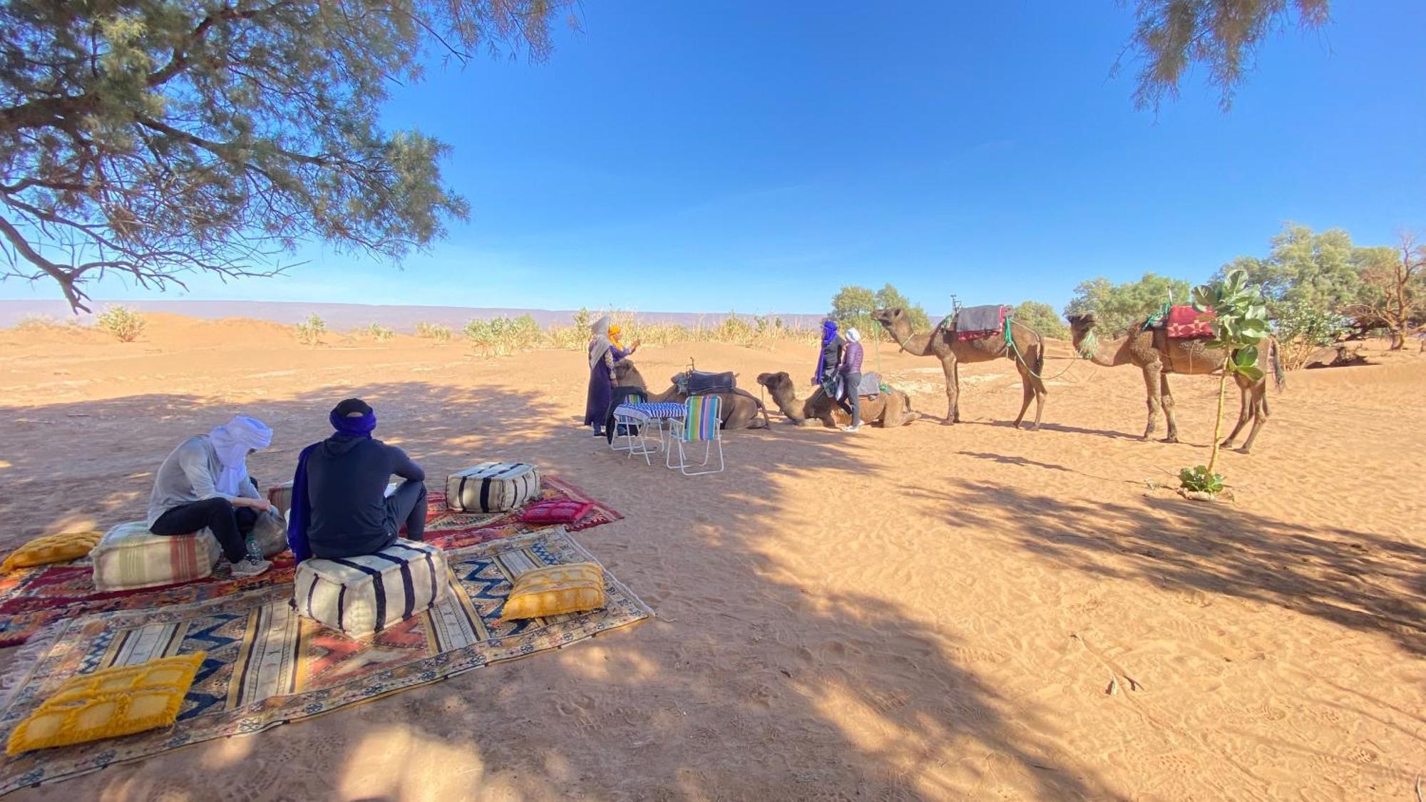 Atta Desert Camp El Gouera Kültér fotó