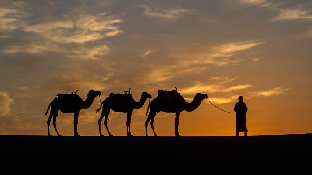Atta Desert Camp El Gouera Kültér fotó
